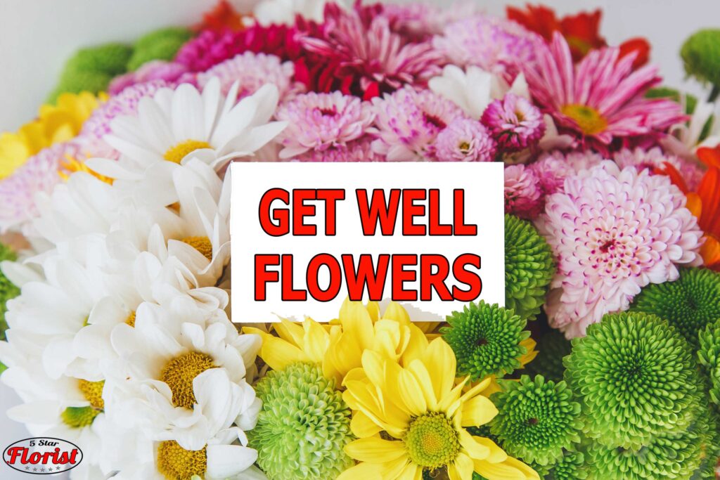 get well flowers punta-gorda