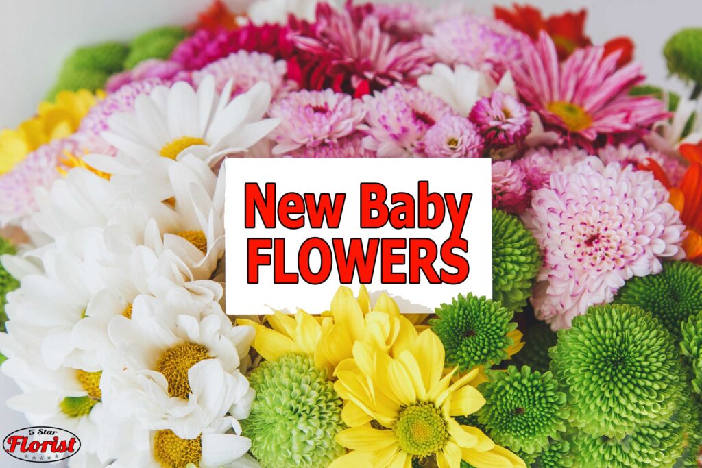 new baby flowers punta-gorda